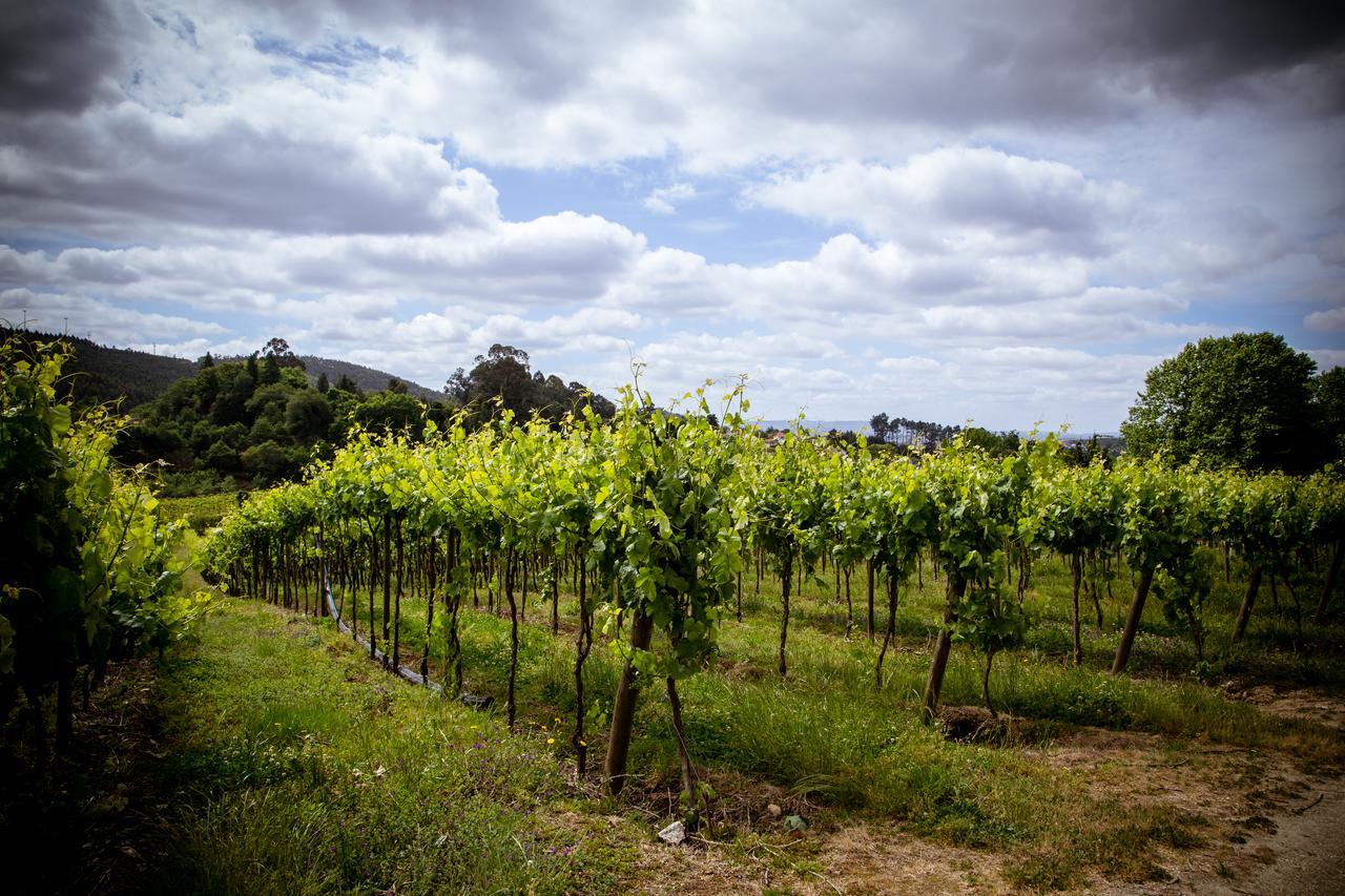 Maison d'hôtes Quinta de Lourosa à Lousada Extérieur photo