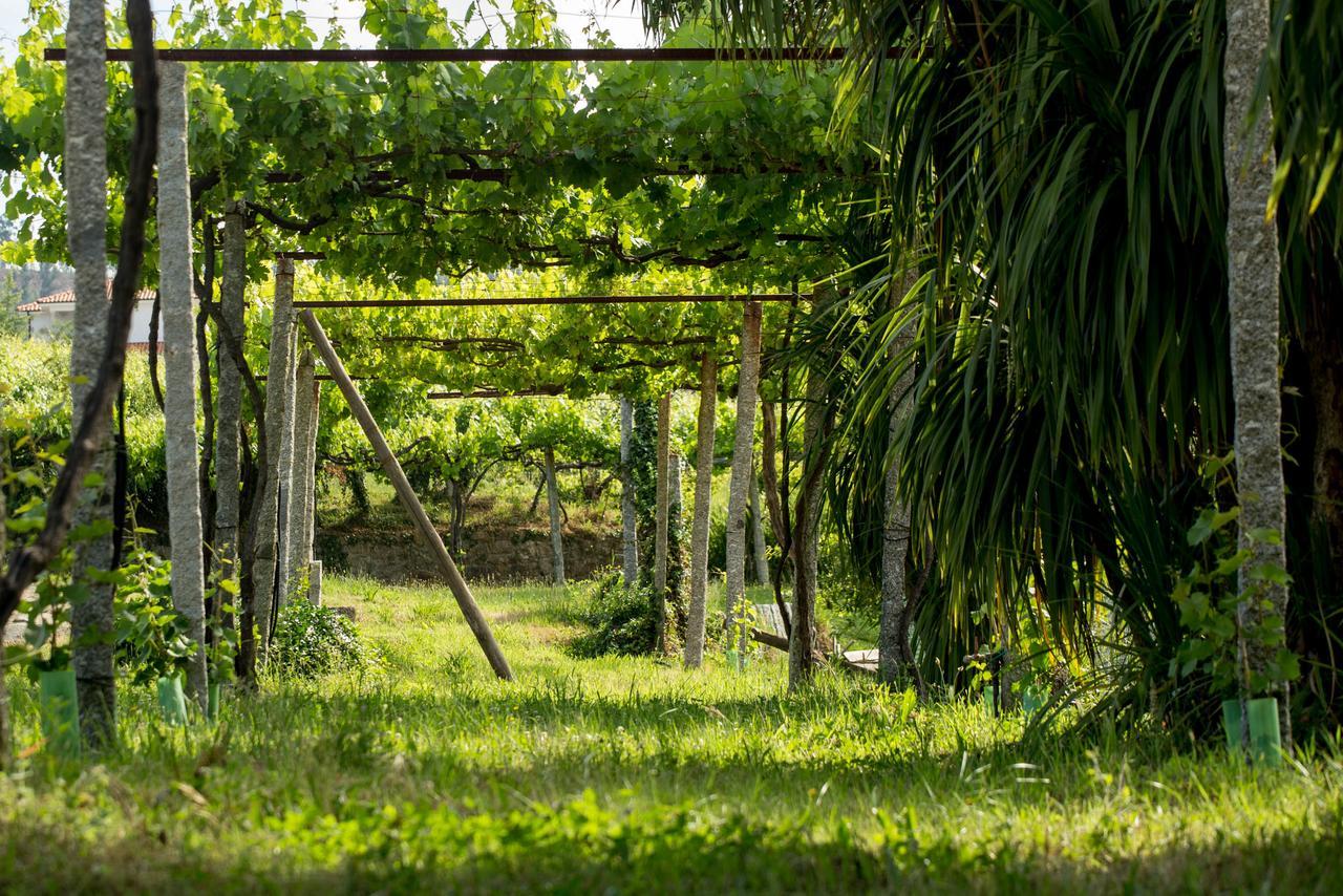 Maison d'hôtes Quinta de Lourosa à Lousada Extérieur photo