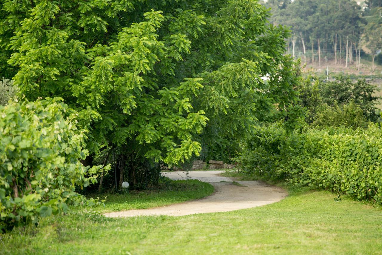 Maison d'hôtes Quinta de Lourosa à Lousada Extérieur photo